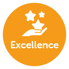 Excellence core value