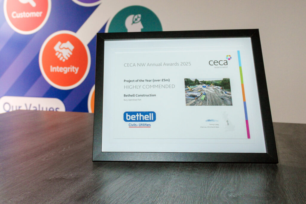 Project of the year award